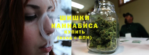 apvp Рославль