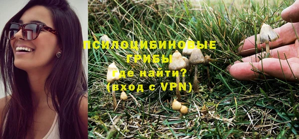 дживик Белоозёрский